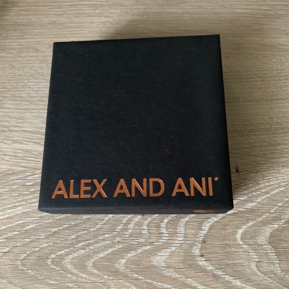 Alex and Ani Bangle